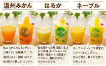 そのまんま100％柑橘ジュース詰合せ5本セット