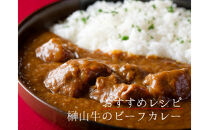 【訳アリ】&nbsp;超希少黒毛和牛「榊山牛」煮込み用ブロック肉&nbsp;500g&nbsp;&nbsp;ビーフシチュー・ビーフカレー・赤ワイン煮等&nbsp;&nbsp;美食&nbsp;&nbsp;訳ありグルメ