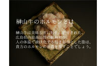 【1週間以内に発送！】&nbsp;超希少和牛「榊山牛」ホルモン（小腸）焼肉・もつ鍋用&nbsp;1kg　広島県内最高級和牛&nbsp;新鮮&nbsp;ぷりぷりホルモン&nbsp;グルメ&nbsp;美食