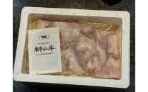 【1週間以内に発送！】&nbsp;超希少和牛「榊山牛」ホルモン（小腸）焼肉・もつ鍋用&nbsp;1kg　広島県内最高級和牛&nbsp;新鮮&nbsp;ぷりぷりホルモン&nbsp;グルメ&nbsp;美食