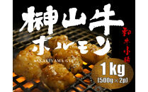 【1週間以内に発送！】&nbsp;超希少和牛「榊山牛」ホルモン（小腸）焼肉・もつ鍋用&nbsp;1kg　広島県内最高級和牛&nbsp;新鮮&nbsp;ぷりぷりホルモン&nbsp;グルメ&nbsp;美食