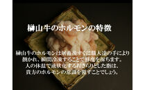 【1週間以内に発送！】&nbsp;超希少和牛「榊山牛」ホルモン（小腸）焼肉・もつ鍋用&nbsp;1kg　広島県内最高級和牛&nbsp;新鮮&nbsp;ぷりぷりホルモン&nbsp;グルメ&nbsp;美食