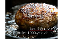 【訳あり】超希少和牛「榊山牛」和牛100％ミンチ５００g　旨味・肉汁あふれる　黒毛和牛100％ハンバーグや肉団子等に最適&nbsp;グルメ&nbsp;&nbsp;美食&nbsp;&nbsp;おすすめ