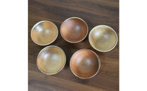 【信楽焼&nbsp;土の子窯皆川陶房】飯碗&nbsp;穴窯焼成