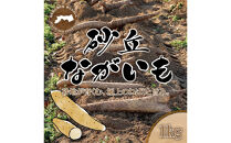 1112.砂丘ながいも1kg