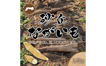 1113.砂丘ながいも1.8kg