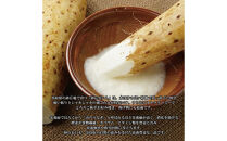 1113.砂丘ながいも1.8kg