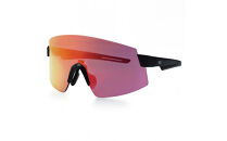 R250&nbsp;EW301&nbsp;アイウェア&nbsp;&nbsp;フレーム：ブラック&nbsp;レンズ3枚付