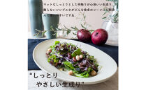 【信楽焼・明山】リムオーバル皿&nbsp;L（生成り）s18-di19-A7