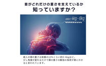 【AGRelux】アグリラックス&nbsp;ネックブレーサー&nbsp;【3ヶ月保証】&nbsp;3R-AGN01BK