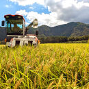 1108.令和7年産　こしひかり玄米　5kg