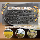 1103.令和7年産　きぬむすめ玄米 5kg