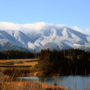 1103.令和7年産　きぬむすめ玄米 5kg