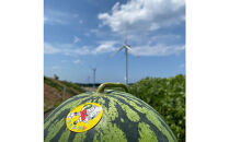 【先行予約】鳥取県産&nbsp;大玉スイカ&nbsp;訳あり&nbsp;1玉&nbsp;6-9キロ前後L-4L（こちらの返礼品は、大栄西瓜ではありません）