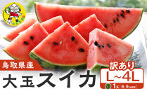 1115.鳥取県産 大玉スイカ 訳あり 1玉 6-9キロ前後L-4L（こちらの返礼品は、大栄西瓜ではありません）