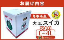【先行予約】鳥取県産&nbsp;大玉スイカ&nbsp;訳あり&nbsp;1玉&nbsp;6-9キロ前後L-4L（こちらの返礼品は、大栄西瓜ではありません）