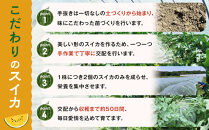 【先行予約】鳥取県産&nbsp;金色羅皇スイカ&nbsp;1玉&nbsp;7-9キロ前後（こちらの返礼品は、大栄西瓜ではありません）