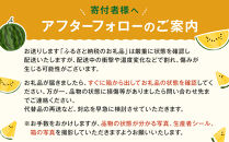 【先行予約】鳥取県産&nbsp;金色羅皇スイカ&nbsp;1玉&nbsp;7-9キロ前後（こちらの返礼品は、大栄西瓜ではありません）