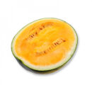 【先行予約】鳥取県産&nbsp;金色羅皇スイカ&nbsp;1玉&nbsp;7-9キロ前後（こちらの返礼品は、大栄西瓜ではありません）