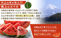 【先行予約】鳥取県産&nbsp;大玉スイカ&nbsp;1玉&nbsp;7-9キロ前後2L-4Lサイズ（こちらの返礼品は、大栄西瓜ではありません）