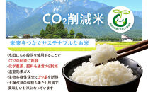 【新米】★数量限定★　【CO2削減米】令和７年産　長野県産コシヒカリ　5kg｜米 人気店 長野県産 新米 2025年  環境配慮 エコ 白米 精米 5kg 人気 おすすめ ごはん 和食  ギフト 送料無料 長野県 大町市 ふるさと納税