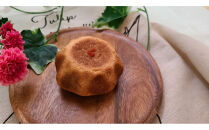 1165.【定期便6ヶ月】鳥取県産&nbsp;人気総菜パン&nbsp;ツナマヨスター&nbsp;5個×6回