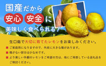尾道市瀬戸田からお届け！安心安全な国産レモン&nbsp;&nbsp;家庭用4キロ