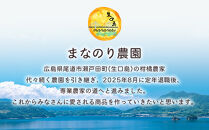 尾道市瀬戸田からお届け！安心安全な国産レモン&nbsp;&nbsp;家庭用4キロ