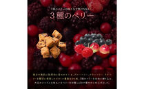 ソイキューブ&nbsp;3種のベリー&nbsp;1kg(100g×10袋)