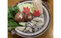 カキ鍋セット2人用から3人用広島県産500ｇ野菜味噌だし付									