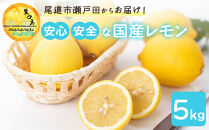 尾道市瀬戸田からの安心安全な国産レモン&nbsp;5キロ