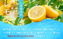 尾道市瀬戸田からの安心安全な国産レモン&nbsp;5キロ