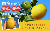 尾道市瀬戸田からの安心安全な国産レモン&nbsp;5キロ
