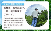 尾道市瀬戸田からの安心安全な国産レモン&nbsp;5キロ