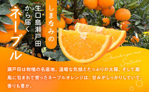 太陽の恵みをたっぷり浴びた瀬戸田産のネーブル　5キロ