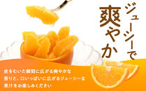 太陽の恵みをたっぷり浴びた瀬戸田産のネーブル　5キロ