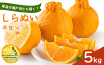 尾道市瀬戸田から届く！&nbsp;しらぬい（不知火）5キロ