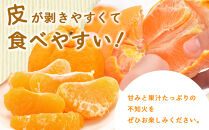 尾道市瀬戸田から届く！&nbsp;しらぬい（不知火）5キロ