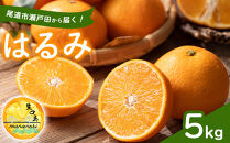 尾道市瀬戸田から届く！&nbsp;はるみ　5キロ