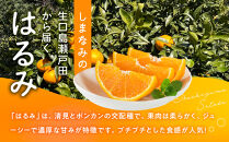 尾道市瀬戸田から届く！&nbsp;はるみ　5キロ