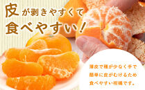 尾道市瀬戸田から届く！&nbsp;はるみ　5キロ