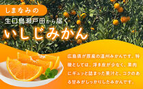 尾道市瀬戸田から届く！&nbsp;いしじみかん　5キロ