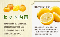 尾道市瀬戸田から届く！&nbsp;柑橘詰合せ&nbsp;5キロ