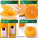 家庭用&nbsp;柑橘定期便S（毎月）全12回&nbsp;［IKE300］