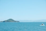 【小豆島コーヒー豆  おすすめ珈琲3種詰め合わせセット】450g（150g×3袋）(状態-豆)