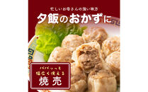 ジャンボ焼売&nbsp;120個(10個入×12袋)