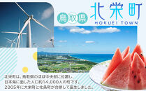 1198.【定期便3ヶ月】鳥取県産&nbsp;スイーツ&nbsp;小僧ロップのシフォンケーキ&nbsp;ダブルショコラ&nbsp;6個×3回