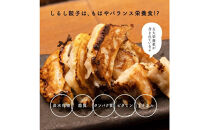 肉汁餃子&nbsp;60個(30個入×2袋)