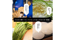 肉汁餃子&nbsp;90個(30個入×3袋)