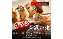 肉汁餃子&nbsp;90個(30個入×3袋)